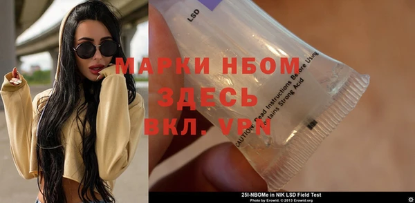 гашик Алексеевка