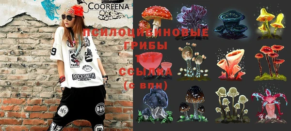 гашик Алексеевка