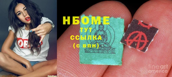 PSILOCYBIN Алзамай