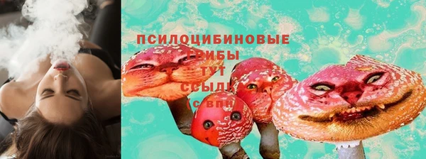 PSILOCYBIN Алзамай
