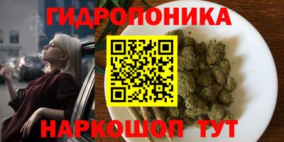 ГАЛЛЮЦИНОГЕННЫЕ ГРИБЫ Малгобек