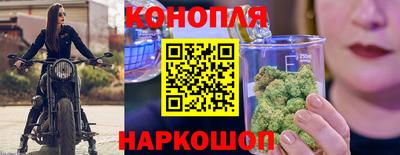 прущие грибы Малоярославец