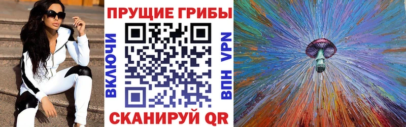Псилоцибиновые грибы Cubensis  наркошоп  Карачаевск 