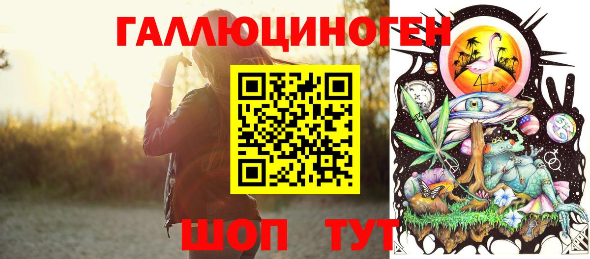 Псилоцибиновые грибы GOLDEN TEACHER Карачаевск